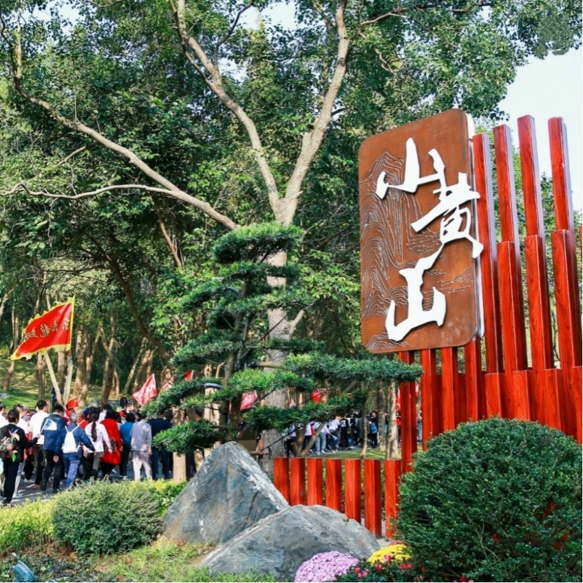 龙新公司
