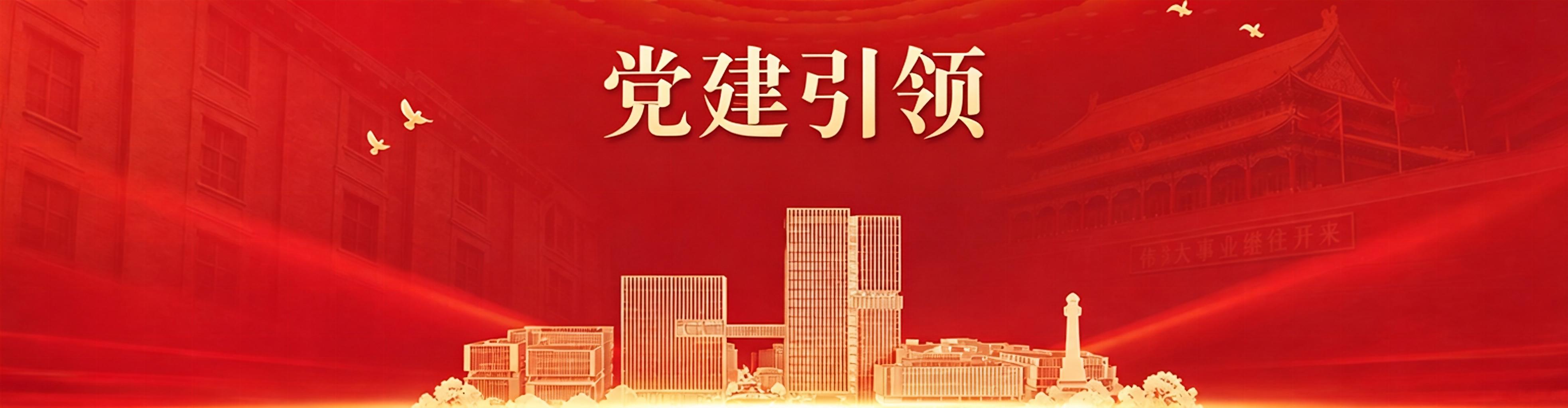 党建引领